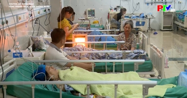 Tăng phòng dịch, giảm chống bệnh