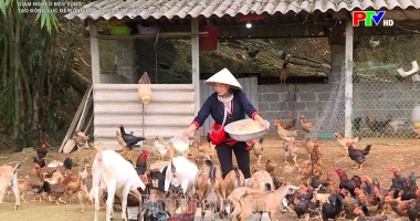 Tạo động lực để đồng bào thiểu số thoát nghèo
