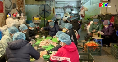 Tạp chí dân tộc, miền núi và phát triển - Đảm bảo nguồn cung hàng hóa thực phẩm cuối năm