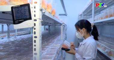 Tạp chí dân tộc miền núi và phát triển ngày 18-12-2025