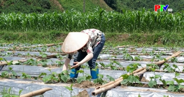 Tạp chí dân tộc miền núi và phát triển ngày 2-12-2025