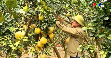 Tạp chí dân tộc miền núi và phát triển ngày 29-11-2025