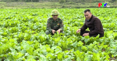 Tạp chí thông tin kinh tế - Giá trị kinh tế từ sản xuất vụ Đông