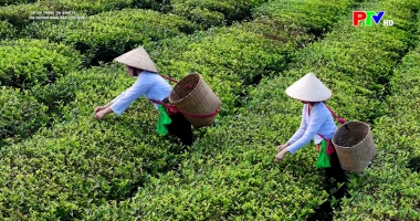 Tạp chí thông tin kinh tế - Thị trường nông sản cuối năm