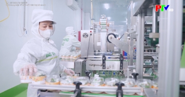 Tạp chí thông tin kinh tế - Thương mại điện tử thúc đẩy tiêu thụ nông sản