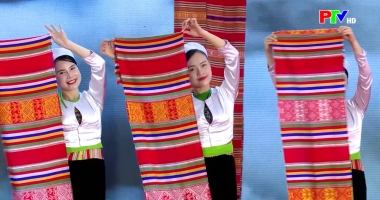 Tạp chí văn nghệ ngày 29-11-2025