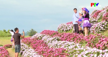 Tây Bắc chuyển động ngày 15-9-2025