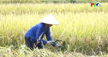Tây Bắc chuyển động ngày 16-8-2024