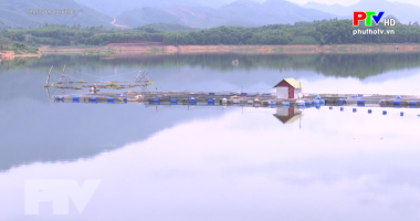 Trang địa phương ngày 12-8-2021