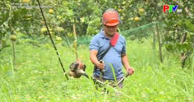 Thanh niên bản Mường làm theo lời Bác