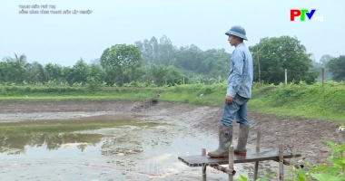 Thanh niên Phú Thọ - Đồng hành cùng thanh niên lập nghiệp