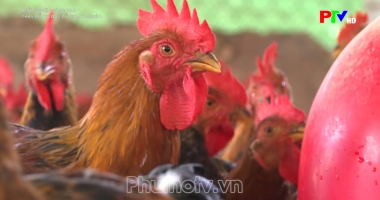 Thay đổi tư duy để thoát nghèo