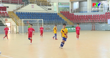 Nhìn lại giải bóng đá thiếu niên, nhi đồng