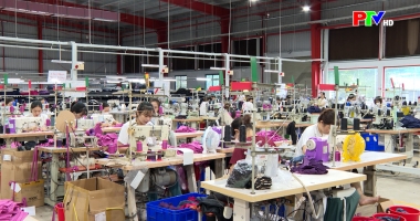 Thi đua yêu nước – Điển hình trong phong trào thi đua yêu nước 