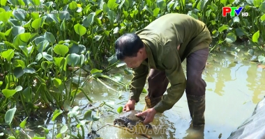 Thi đua yêu nước - Gieo khát vọng, gặt mùa vàng