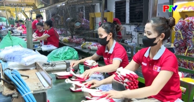 Thi đua yêu nước: Mỗi cải tiến - Một giá trị