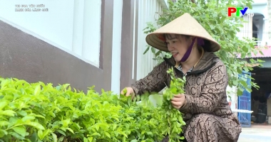 Thi đua yêu nước - Xanh hóa làng quê