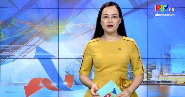 Thị trường tiêu dùng ngày 24-5-2020