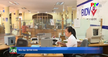 Thị trường tiêu dùng ngày 7-8-2020