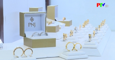 Thị trường tiêu dùng ngày 16-9-2021