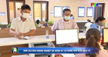 Thị trường tiêu dùng ngày 23-12-2021