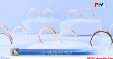 THị trường tiêu dùng ngày 9-8-2022
