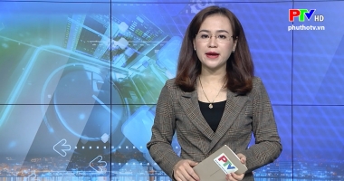 Thị trường tiêu dùng ngày 19-12-2019
