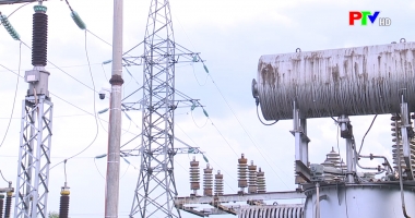 Thị trường tiêu dùng ngày 29-1-2023