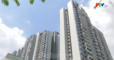 Thị trường tiêu dùng ngày 9-2-2023