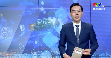 Thị trường tiêu dùng ngày 14-1-2020