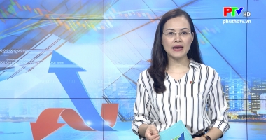 Thị trường tiêu dùng ngày 9-3-2020