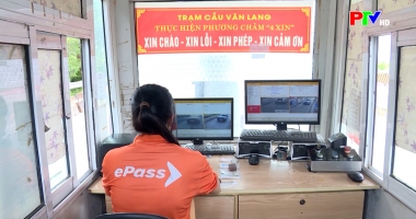 Thị trường tiêu dùng ngày 03-02-2026