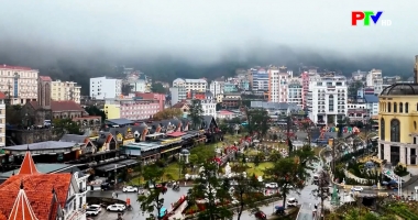 Thị trường tiêu dùng ngày 03-05-2026
