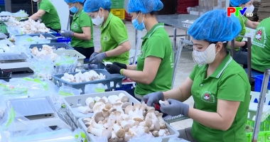 Thị trường tiêu dùng ngày 05-02-2026