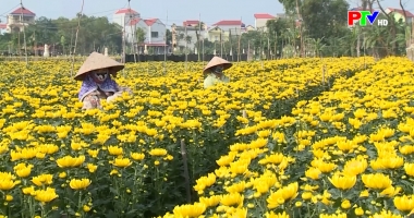 Thị trường tiêu dùng ngày 06-02-2026