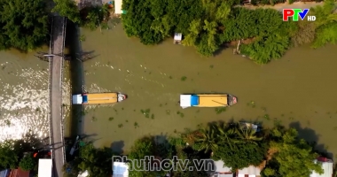 Thị trường tiêu dùng ngày 06-07-2026