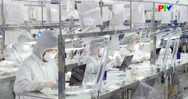 Thị trường tiêu dùng ngày 07-02-2026