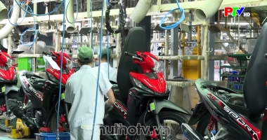 Thị trường tiêu dùng ngày 09-09-2026