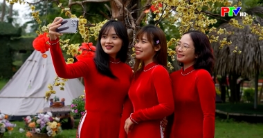 Thị trường tiêu dùng ngày 1-1-2026