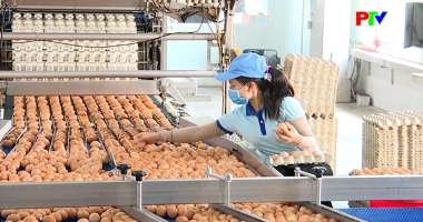 Thị trường tiêu dùng ngày 1-4-2026