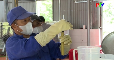 Thị trường tiêu dùng ngày 10-02-2026