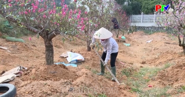Thị trường tiêu dùng ngày 10-2-2025
