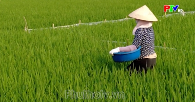 Thị trường tiêu dùng ngày 13-07-2026