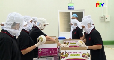 Thị trường tiêu dùng ngày 13-4-2026