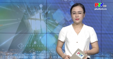 Thị trường tiêu dùng ngày 13-8-2019