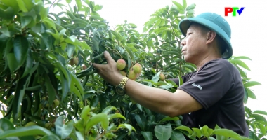 Thị trường tiêu dùng ngày 14-05-2026