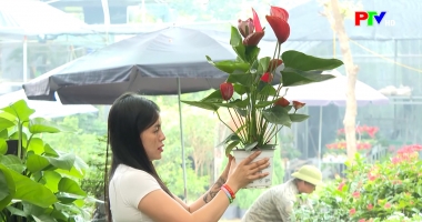 Thị trường tiêu dùng ngày 14-1-2026