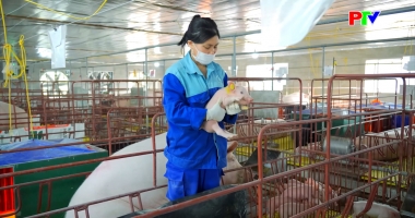 Thị trường tiêu dùng ngày 16-3-2026