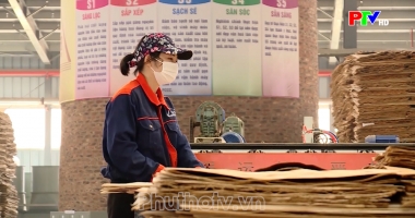 Thị trường tiêu dùng ngày 17-06-2026