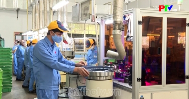 Thị trường tiêu dùng ngày 18-06-2026